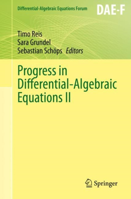 E-kniha Progress in Differential-Algebraic Equations II Timo Reis