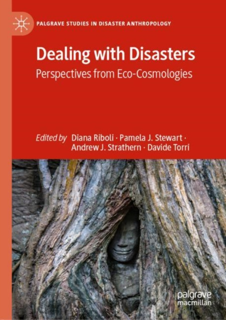E-book Dealing with Disasters Diana Riboli