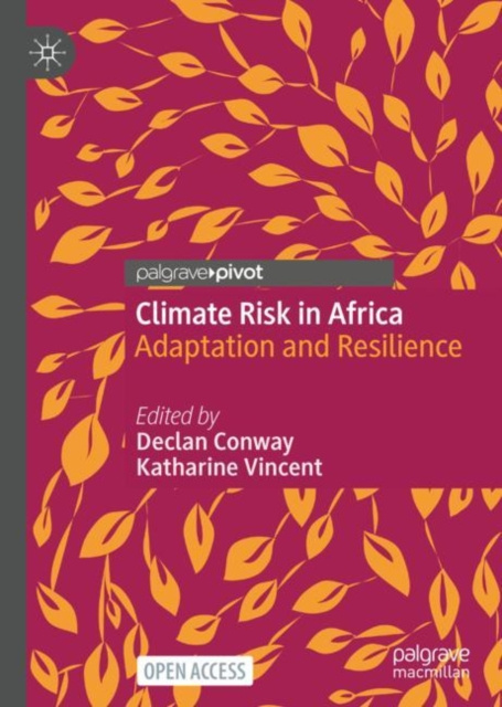 E-Book Climate Risk in Africa Declan Conway