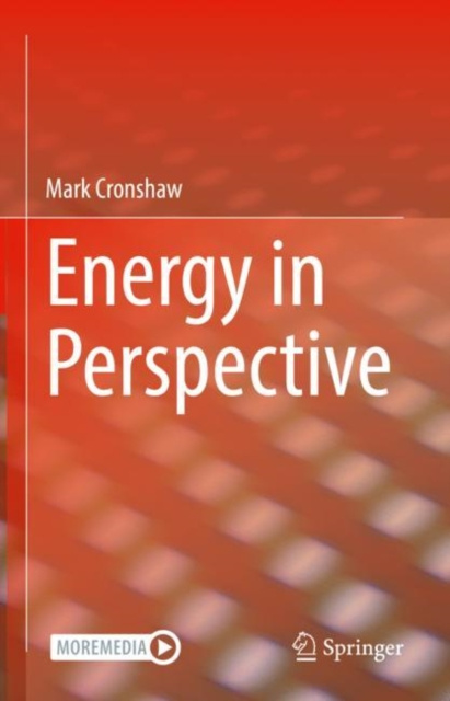 E-knjiga Energy in Perspective Mark Cronshaw
