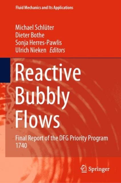 E-book Reactive Bubbly Flows Michael Schluter