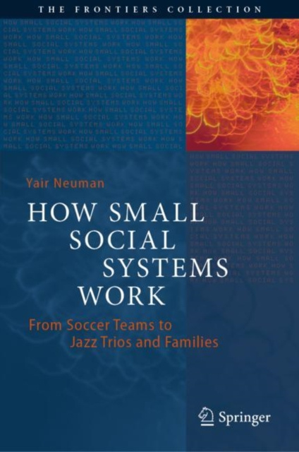 E-kniha How Small Social Systems Work Yair Neuman