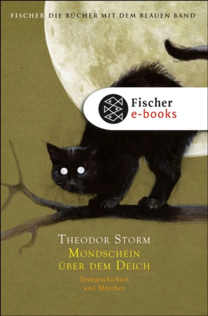 ebook Mondschein uber dem Deich Theodor Storm