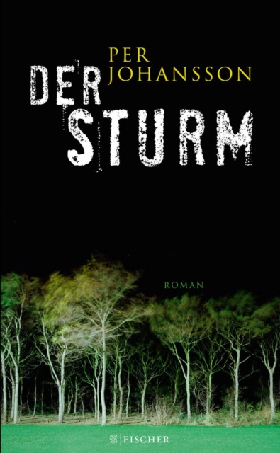 E-knjiga Der Sturm Per Johansson
