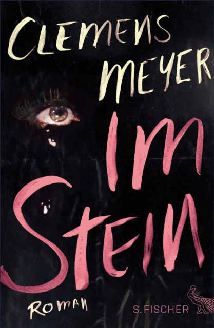 E-Book Im Stein Clemens Meyer