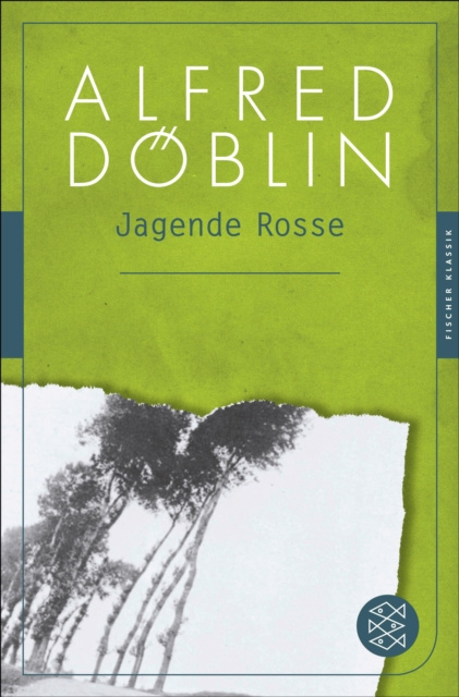 E-book Jagende Rosse Alfred Doblin