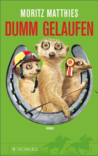 E-book Dumm gelaufen Moritz Matthies