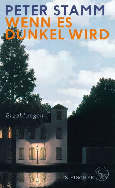 E-knjiga Wenn es dunkel wird Peter Stamm