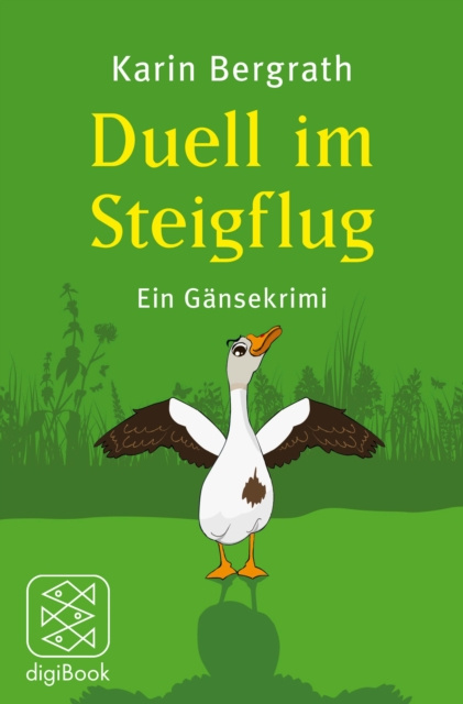E-knjiga Duell im Steigflug Karin Bergrath