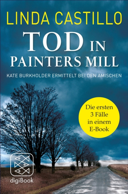 E-kniha Tod in Painters Mill. Kate Burkholder ermittelt bei den Amischen Linda Castillo