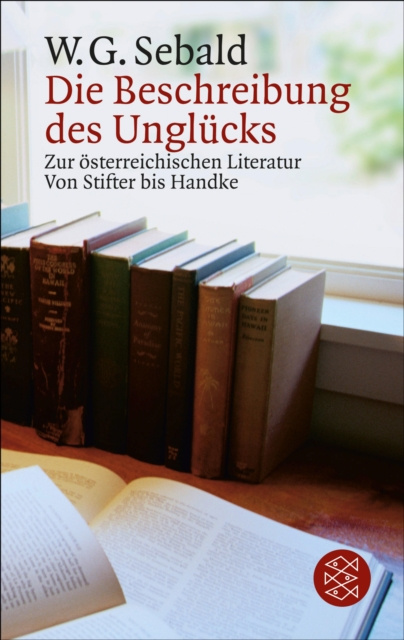 E-kniha Die Beschreibung des Unglucks W.G. Sebald