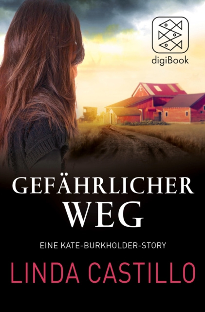 E-book Gefahrlicher Weg Linda Castillo