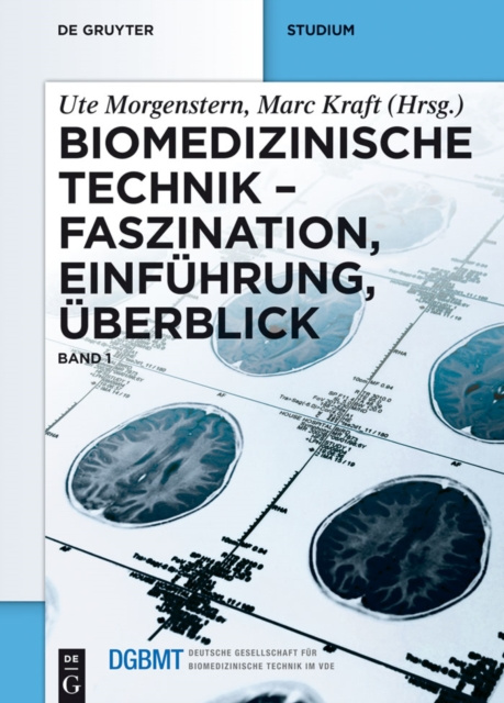 E-book Faszination, Einfuhrung, Uberblick Ute Morgenstern
