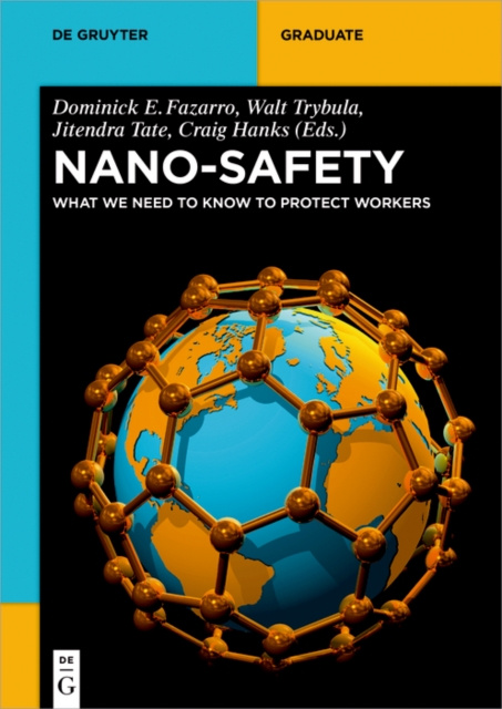 Livre numérique Nano-Safety Dominick E. Fazarro