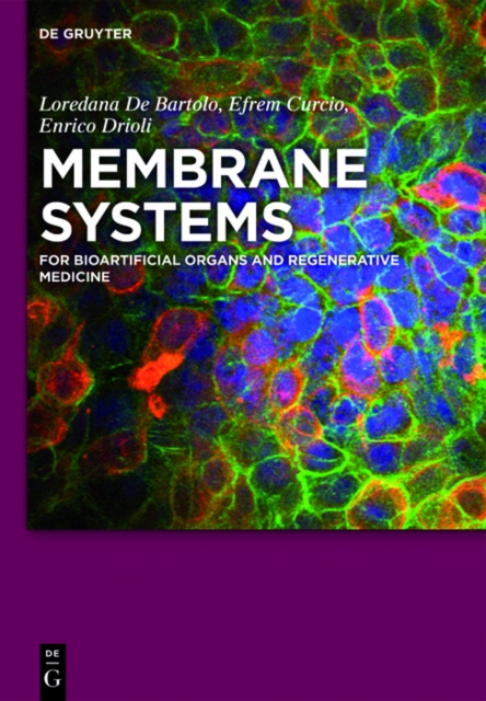 E-book Membrane Systems Loredana De Bartolo