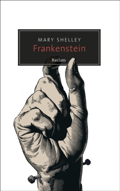 E-knjiga Frankenstein oder Der moderne Prometheus Mary Shelley