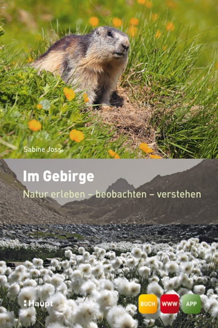 E-book Im Gebirge Sabine Joss