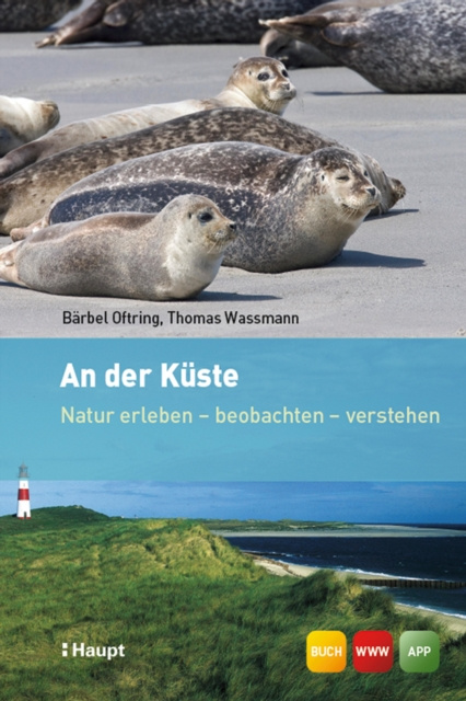 E-book der Kuste Barbel Oftring