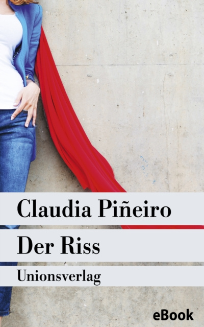 E-book Der Riss Claudia Pineiro