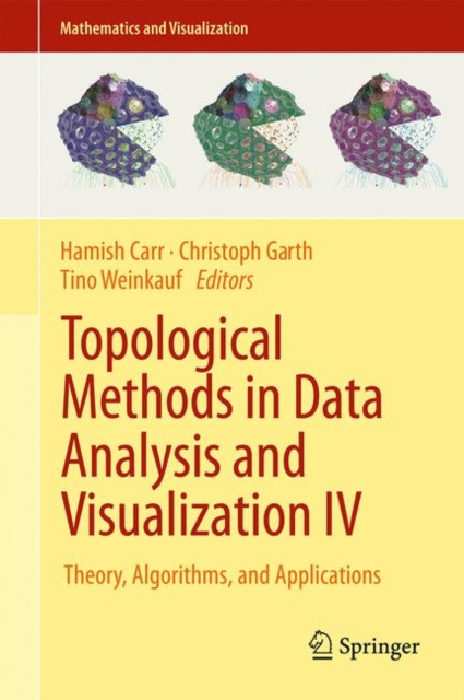E-book Topological Methods in Data Analysis and Visualization IV Hamish Carr