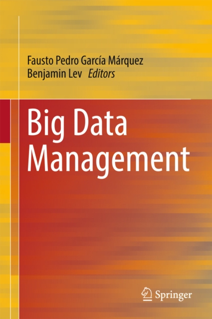 E-Book Big Data Management Fausto Pedro Garcia Marquez