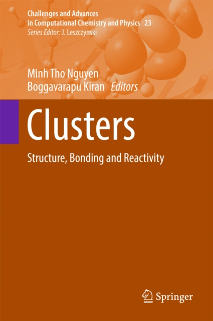E-knjiga Clusters Minh Tho Nguyen