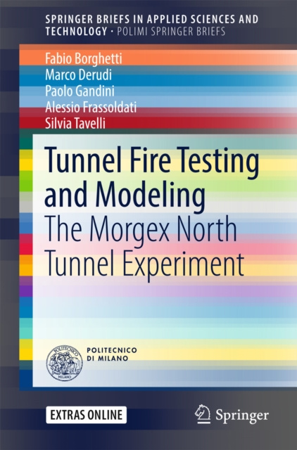 E-book Tunnel Fire Testing and Modeling Fabio Borghetti