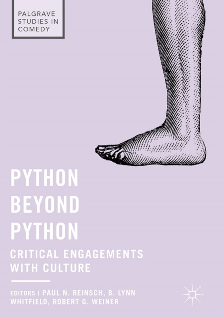 E-book Python beyond Python Paul N. Reinsch