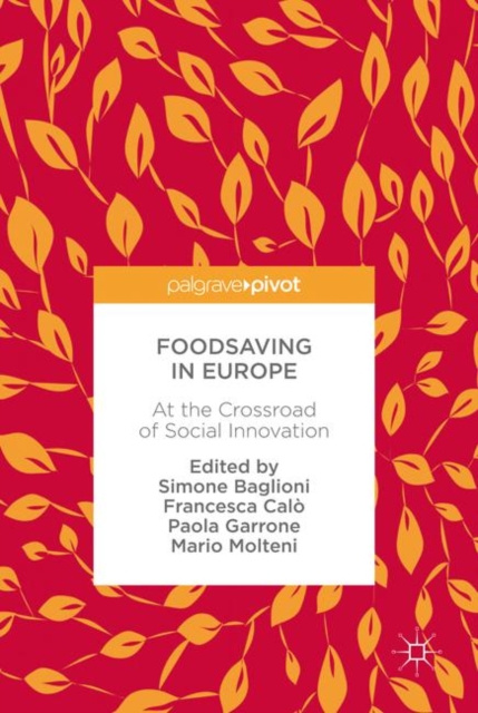 E-book Foodsaving in Europe Simone Baglioni