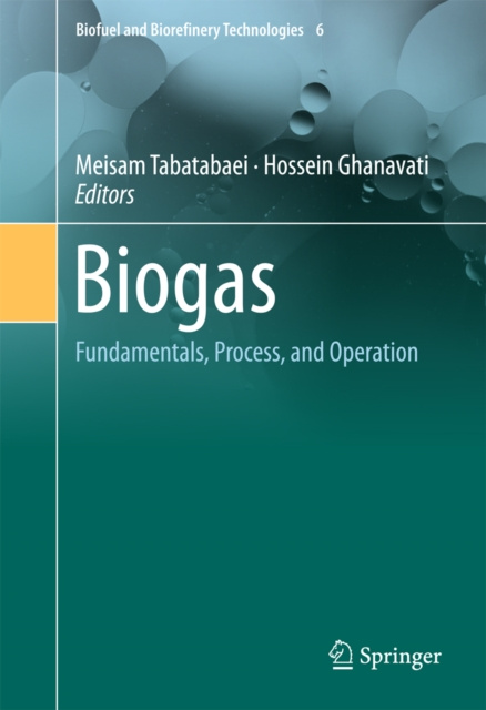 E-book Biogas Meisam Tabatabaei