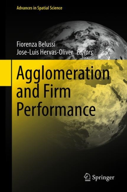 E-book Agglomeration and Firm Performance Fiorenza Belussi