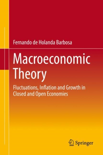 E-Book Macroeconomic Theory Fernando de Holanda Barbosa