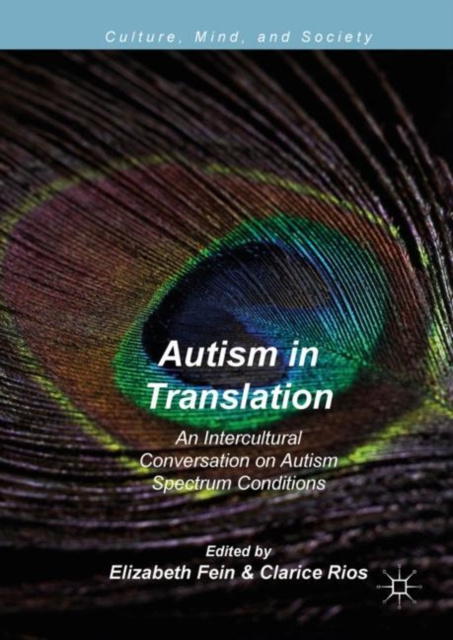 E-knjiga Autism in Translation Elizabeth Fein