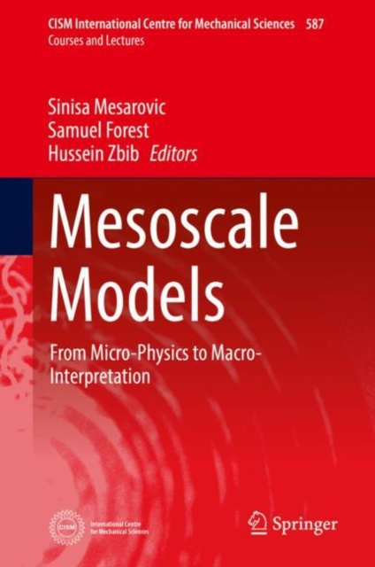 E-kniha Mesoscale Models Sinisa Mesarovic