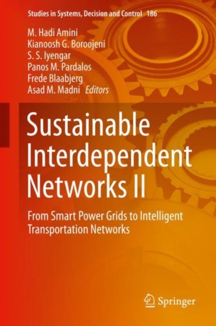 E-Book Sustainable Interdependent Networks II M. Hadi Amini