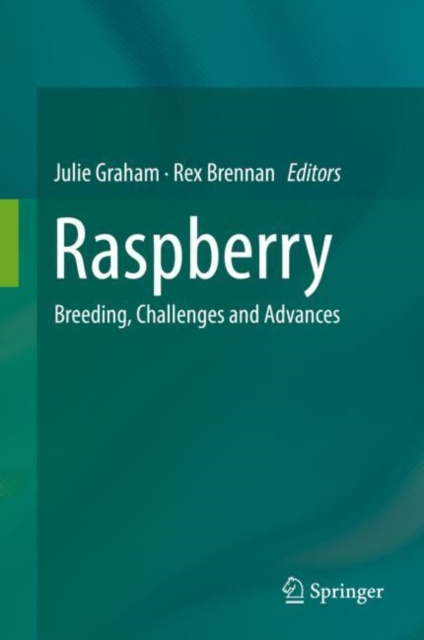 E-knjiga Raspberry Julie Graham