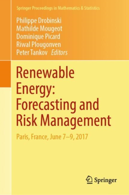E-kniha Renewable Energy: Forecasting and Risk Management Philippe Drobinski