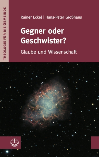 E-knjiga Gegner oder Geschwister? Hans-Peter Grohans