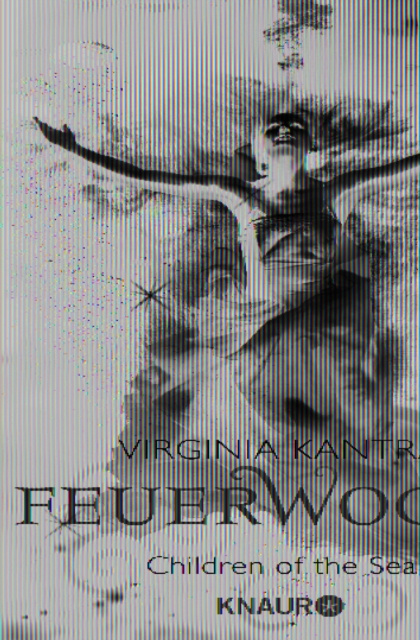 E-book Feuerwogen Virginia Kantra
