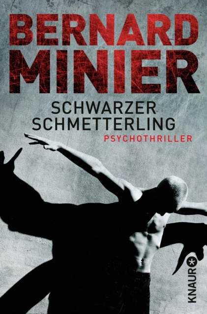 E-knjiga Schwarzer Schmetterling Bernard Minier