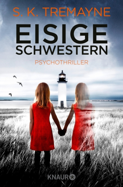 E-book Eisige Schwestern S. K. Tremayne