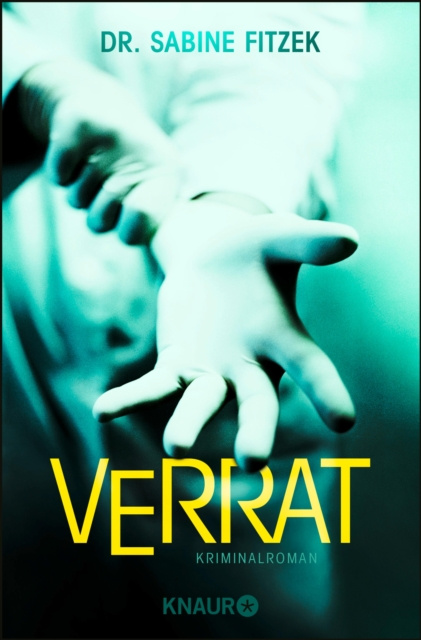 E-book Verrat Sabine Fitzek
