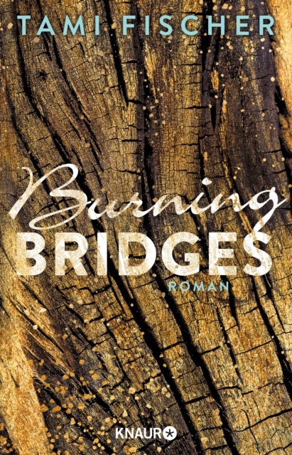 E-Book Burning Bridges Tami Fischer