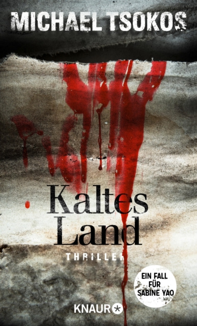 E-book Kaltes Land Michael Tsokos