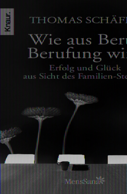 E-book Wie aus Beruf Berufung wird Thomas Schafer