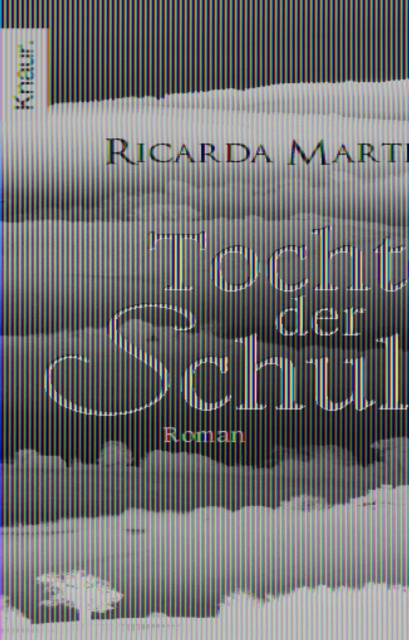 E-kniha Tochter der Schuld Ricarda Martin