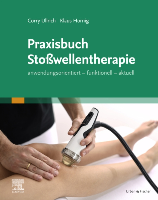 E-kniha Praxisbuch Stowellentherapie Klaus Hornig