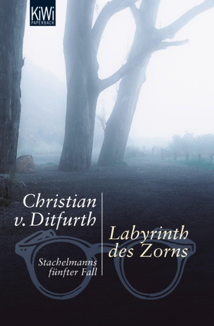 E-book Labyrinth des Zorns Christian von Ditfurth