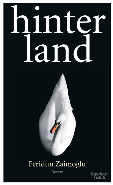 E-book Hinterland Feridun Zaimoglu