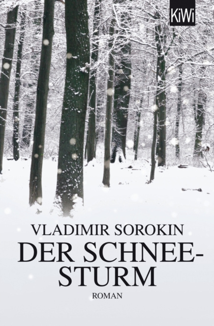 E-kniha Der Schneesturm Vladimir Sorokin